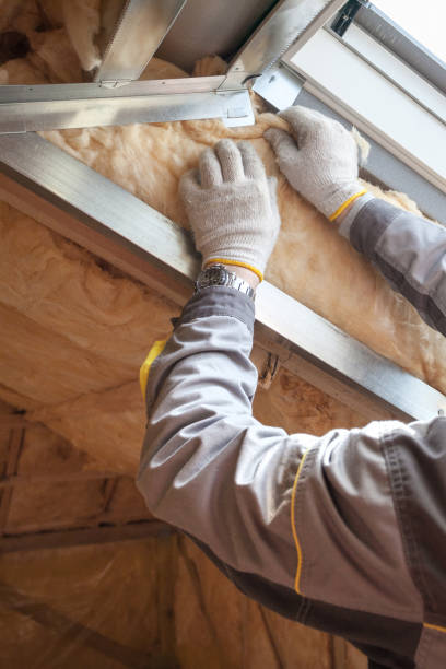 Professional Insulation Contractor in Mission Bend, TX